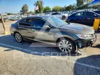 2014 Honda Accord photo
