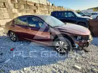 2014 Honda Accord фото