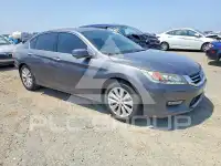 2014 Honda Accord photo
