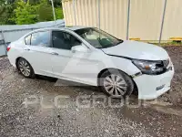 2014 Honda Accord photo