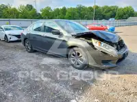 2014 Honda Accord фото