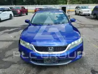2014 Honda Accord photo
