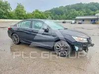 2014 Honda Accord photo