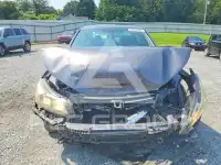 2014 Honda Accord фото