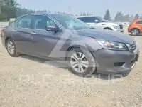 2014 Honda Accord photo