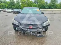 2014 Honda Accord photo