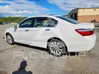2014 Honda Accord photo