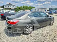 2014 Honda Accord photo