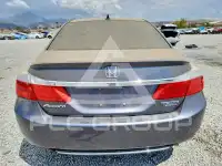 2014 Honda Accord photo