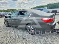2014 Honda Accord photo