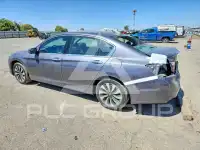 2014 Honda Accord фото
