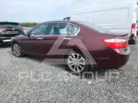 2014 Honda Accord photo