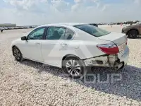 2014 Honda Accord photo