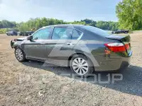 2014 Honda Accord фото