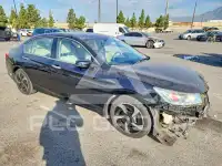 2014 Honda Accord фото