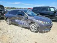 2014 Honda Accord photo