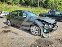 2014 Honda Accord фото