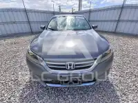 2014 Honda Accord photo