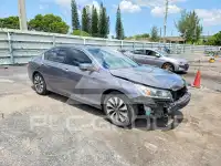 2014 Honda Accord photo
