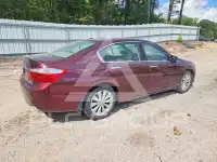 2014 Honda Accord photo