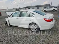 2014 Honda Accord фото