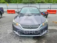 2014 Honda Accord photo