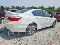 2014 Honda Accord photo