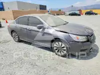 2014 Honda Accord photo