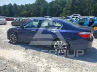 2014 Honda Accord photo