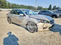 2014 Honda Accord photo
