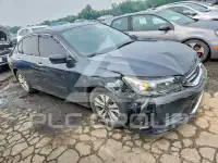 2014 Honda Accord фото