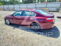 2014 Honda Accord фото