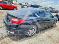 2014 Honda Accord photo