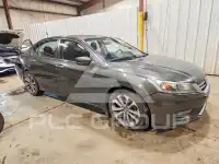2014 Honda Accord photo