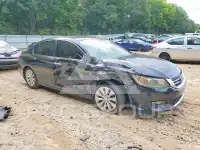 2014 Honda Accord photo