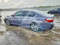 2014 Honda Accord фото