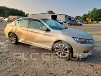 2014 Honda Accord photo