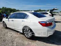 2014 Honda Accord photo