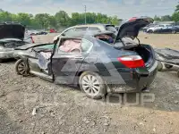 2014 Honda Accord photo