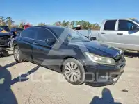 2014 Honda Accord photo