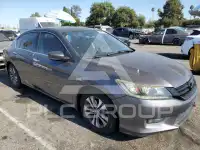 2014 Honda Accord photo