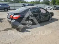 2014 Honda Accord photo