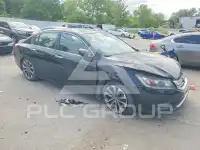 2014 Honda Accord photo