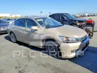 2014 Honda Accord photo