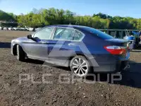 2014 Honda Accord photo