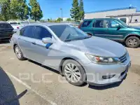 2014 Honda Accord photo