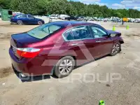 2014 Honda Accord photo