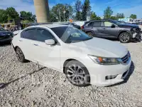 2014 Honda Accord photo