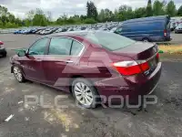 2014 Honda Accord photo