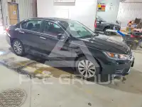 2014 Honda Accord фото